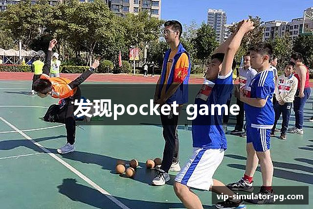 发现pocket game